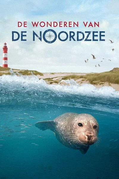 Poster Die Nordsee - Unser Meer