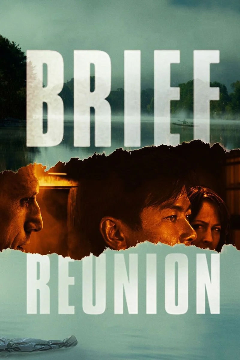 Affiche de Brief Reunion