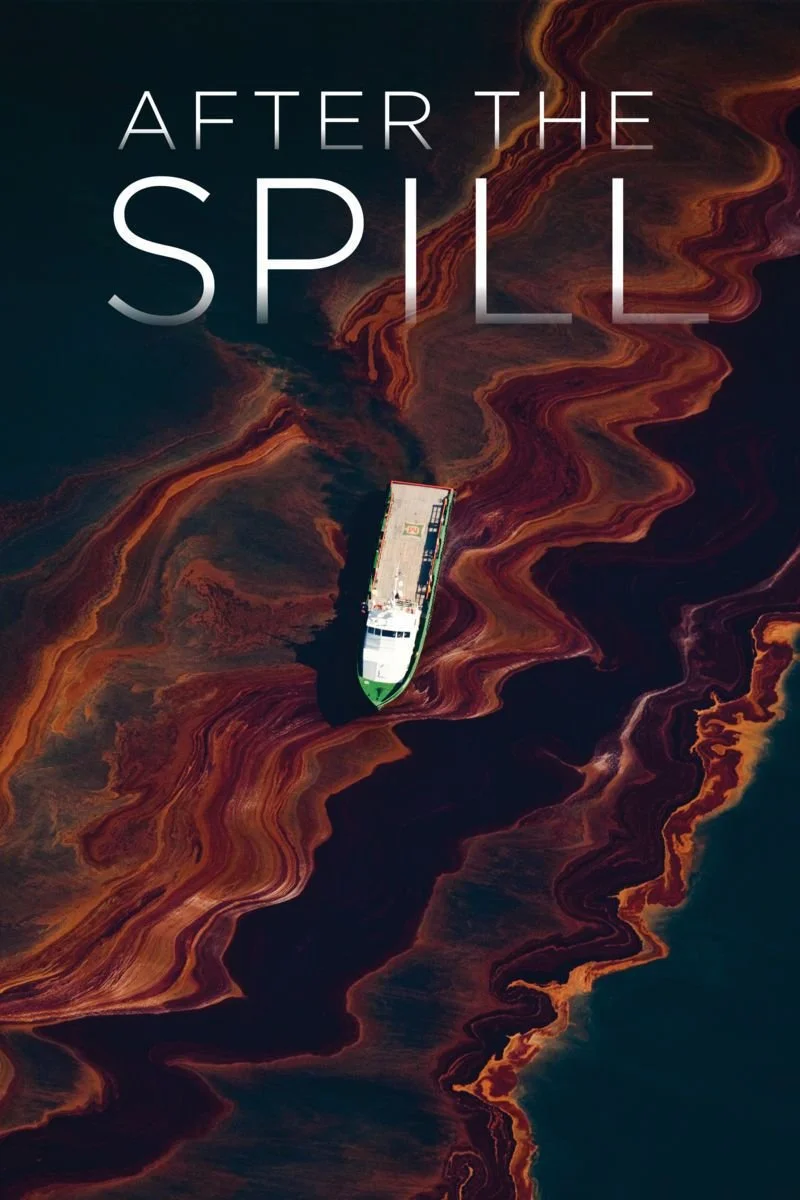 Affiche de After the Spill