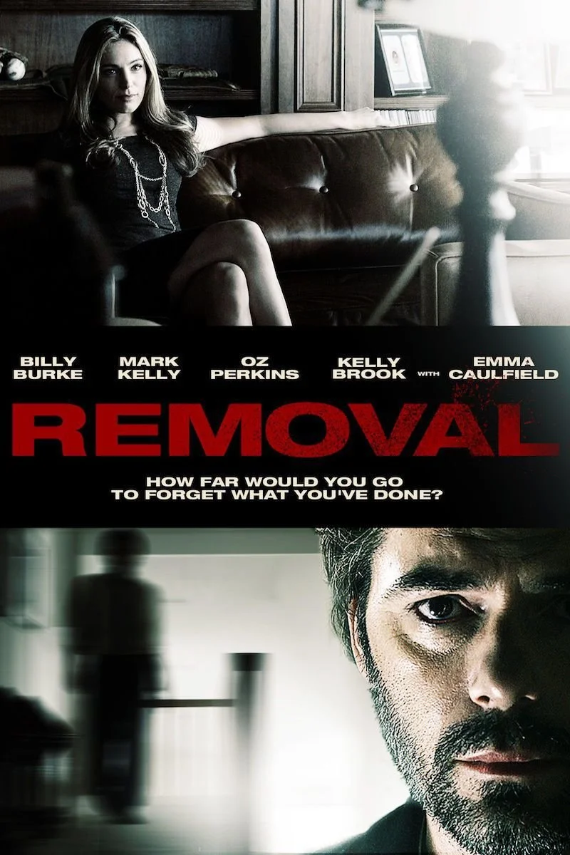 Affiche de Removal