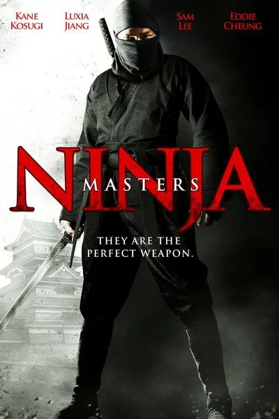 Poster Ninja Masters