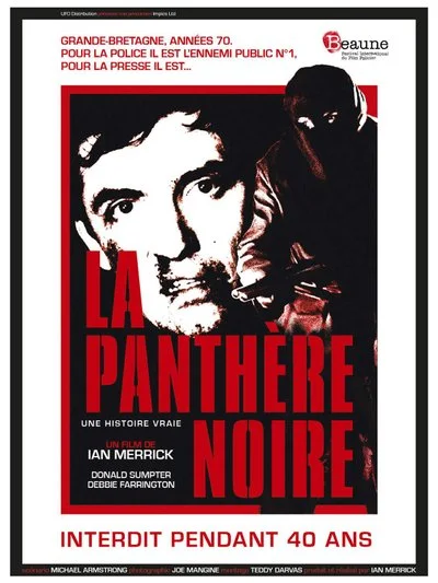Affiche The Black Panther