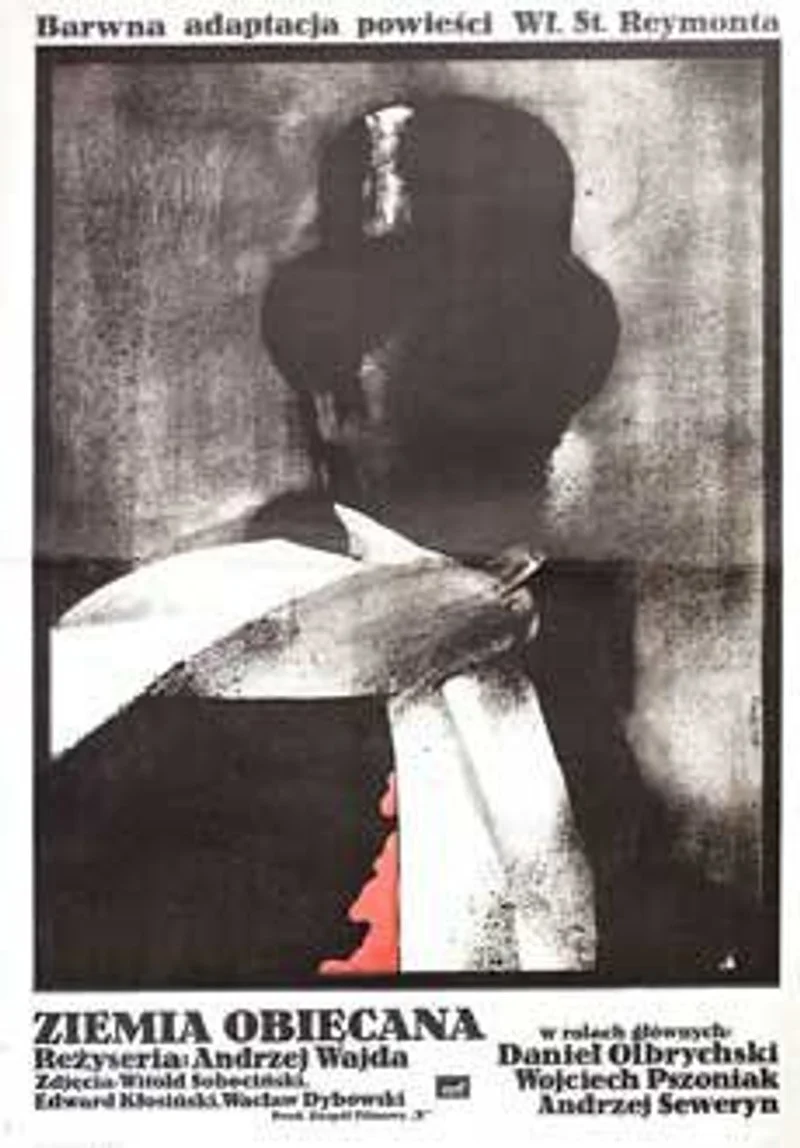 Affiche de La terre de la grande promesse