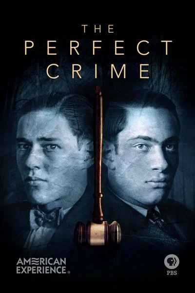 Affiche American Experience: The Perfect Crime