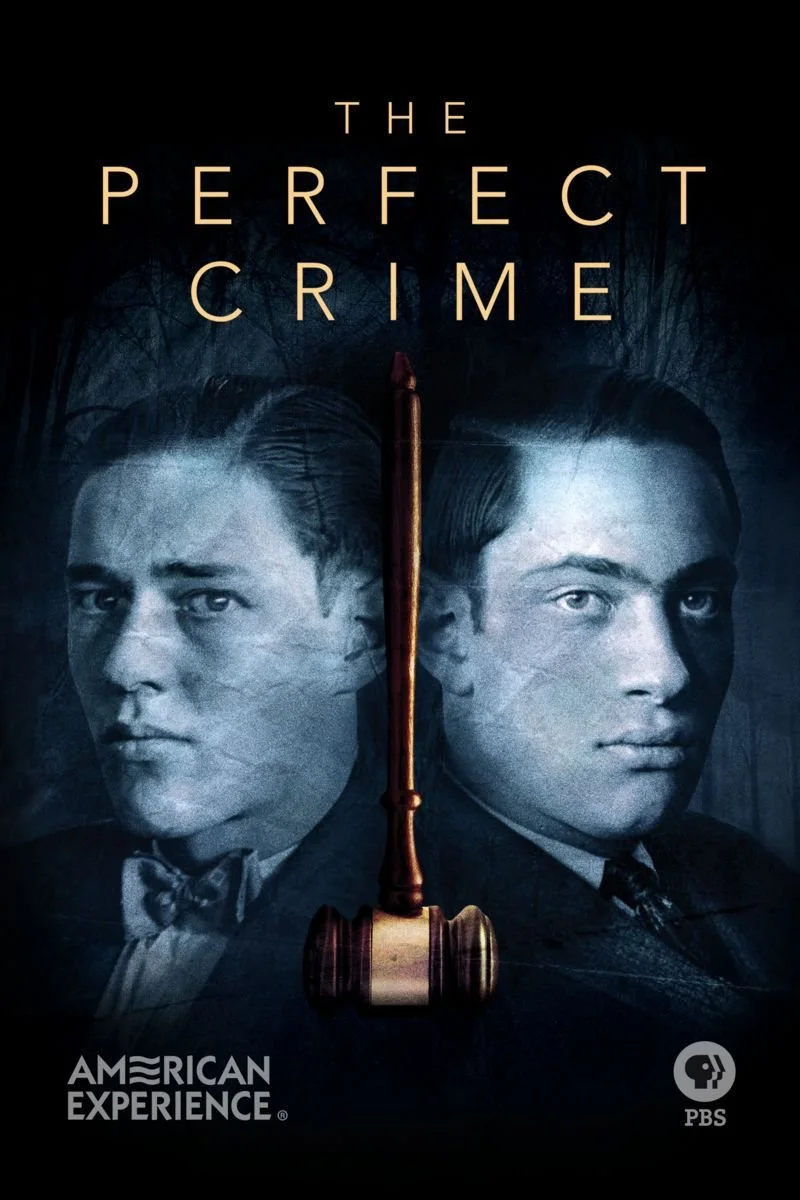 Poster van American Experience: The Perfect Crime