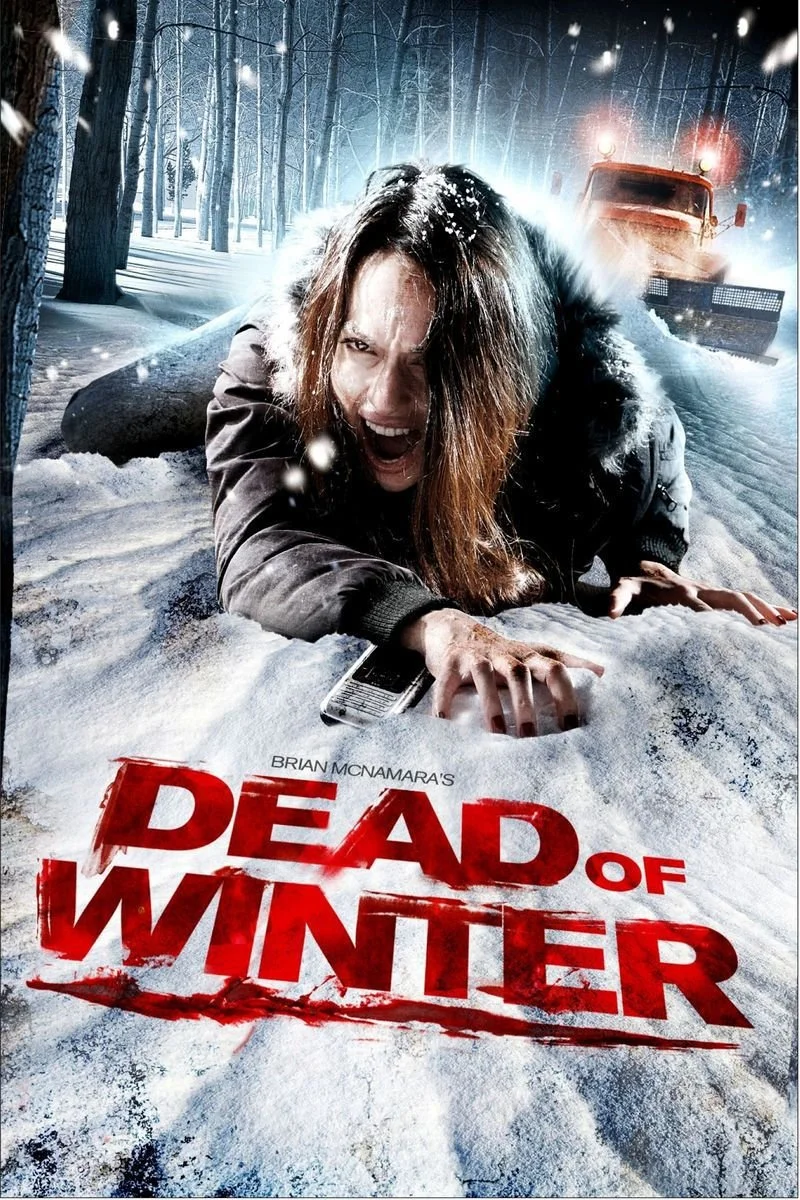 Affiche de Dead of Winter