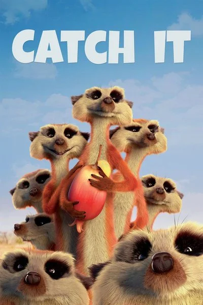 Affiche Catch It
