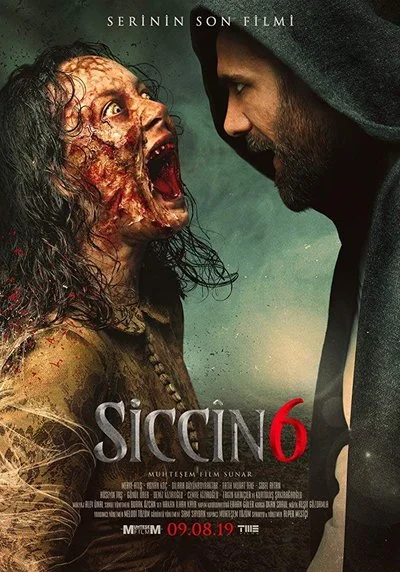 Affiche Siccin 6