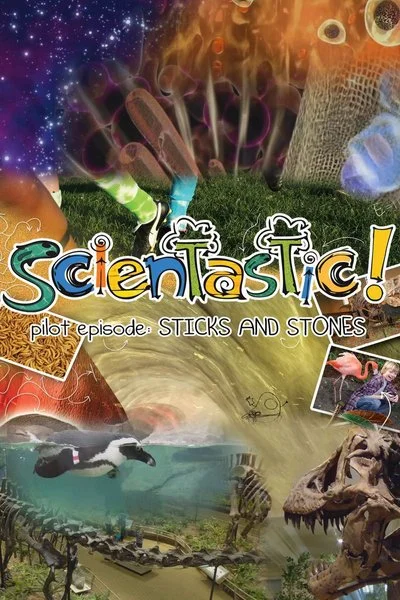 Poster Scientastic: Sticks and Stones