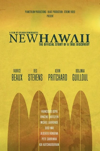 Affiche New Hawaii