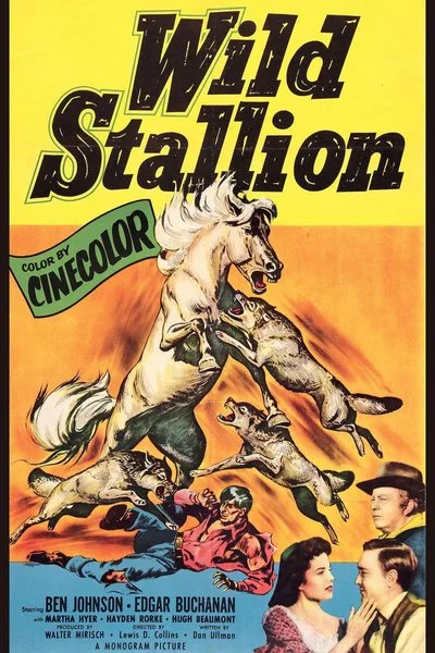Affiche Wild Stallion