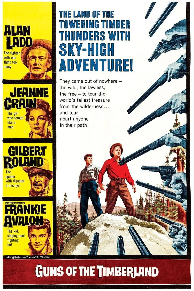 Affiche de Guns of the Timberland
