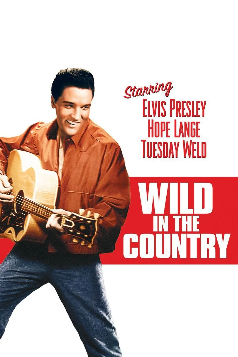 Affiche de Wild In the Country