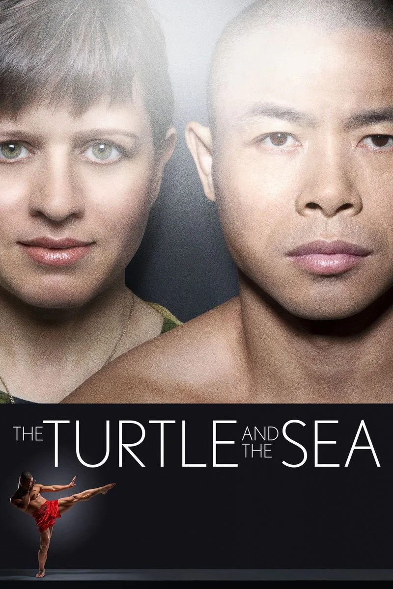 Poster van The Turtle and the Sea