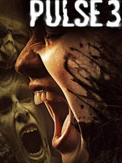 Poster Pulse 3