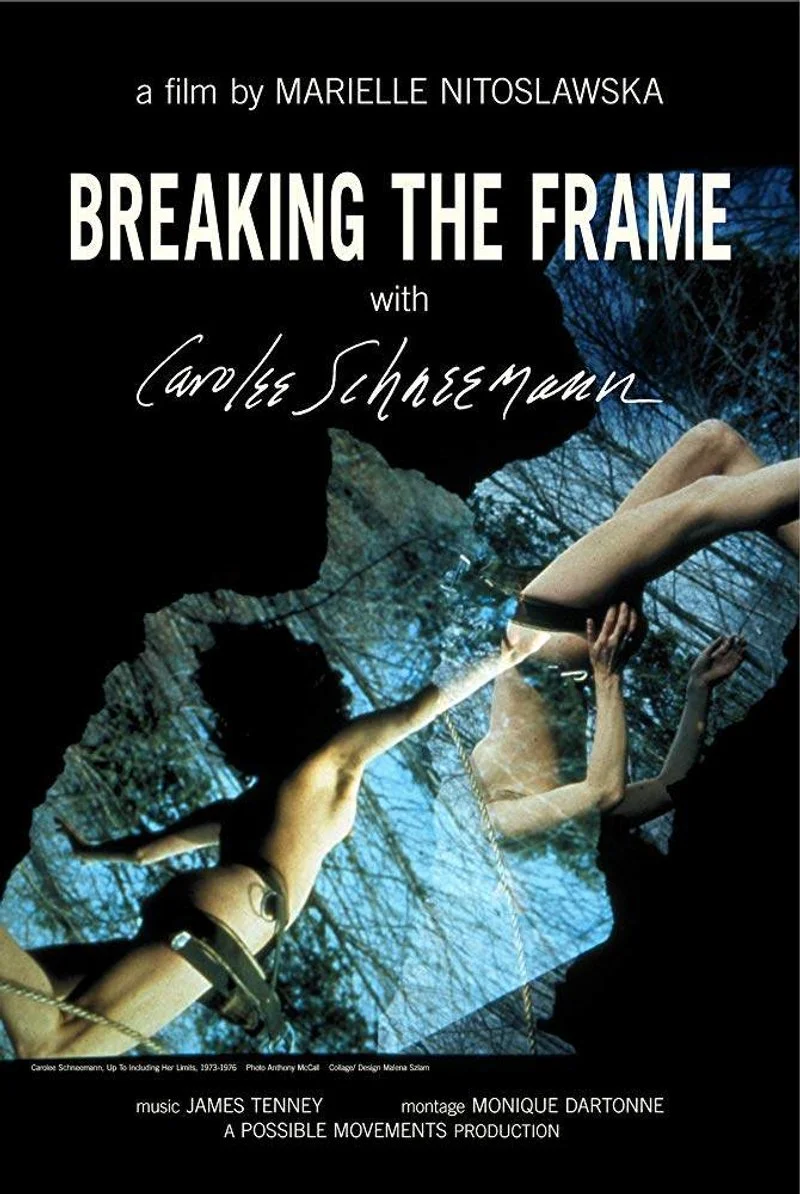 Affiche de Breaking the Frame