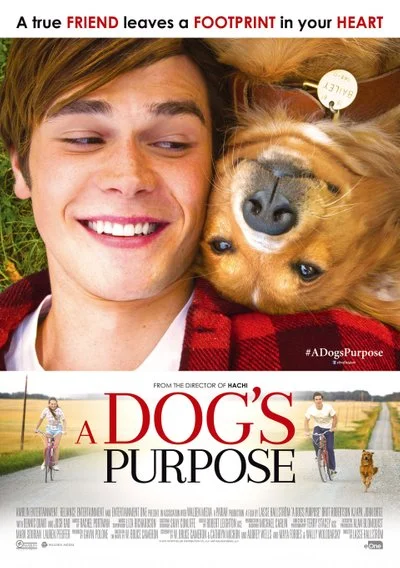 Poster A Dog's Purpose