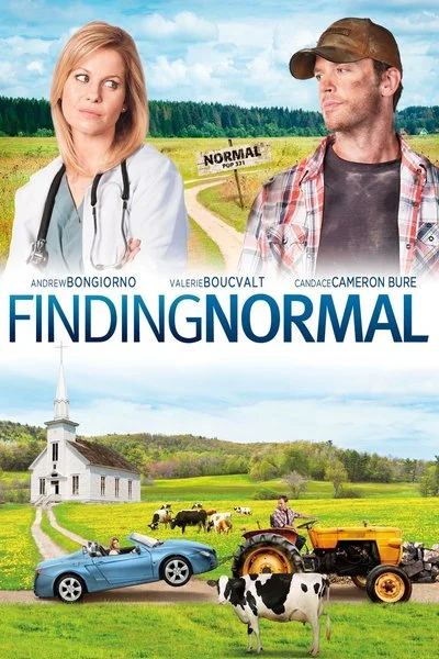 Poster Finding Normal