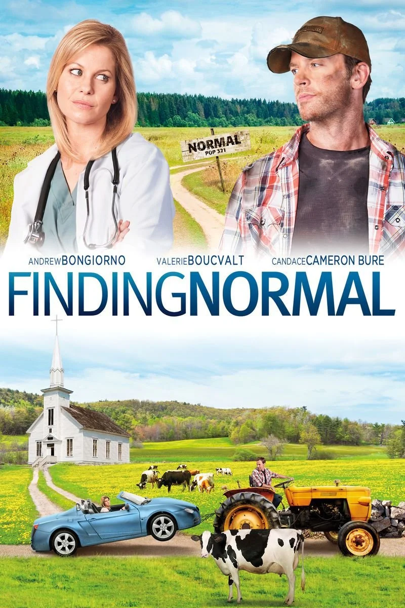 Affiche de Finding Normal