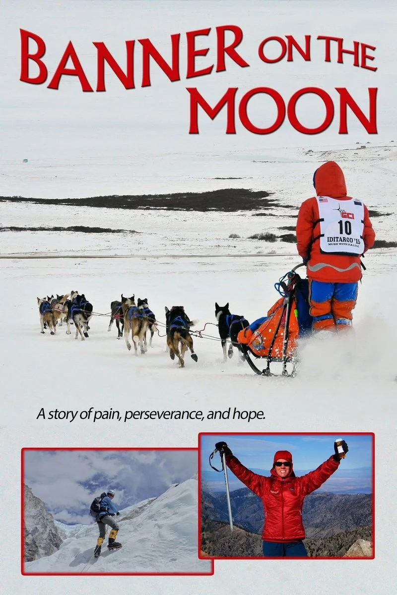 Affiche de Banner On the Moon