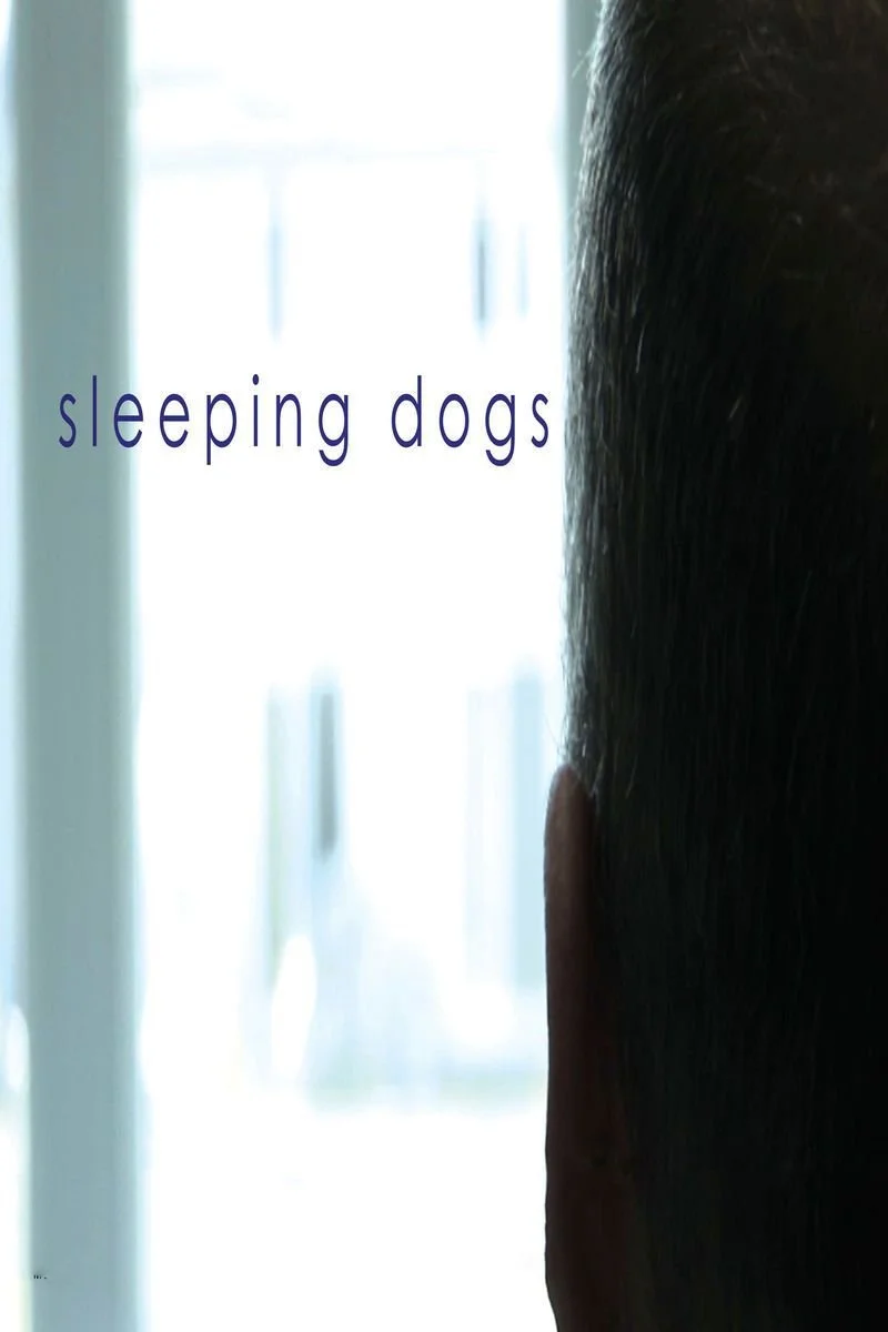 Affiche de Sleeping Dogs