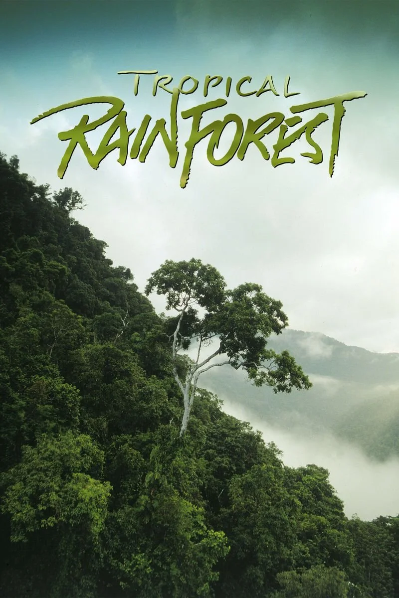 Affiche de Tropical Rainforest