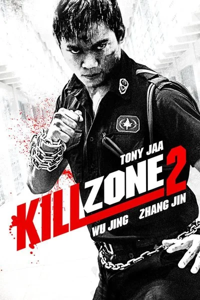 Poster Kill Zone 2