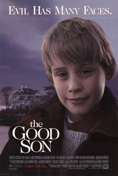 Affiche Le bon fils