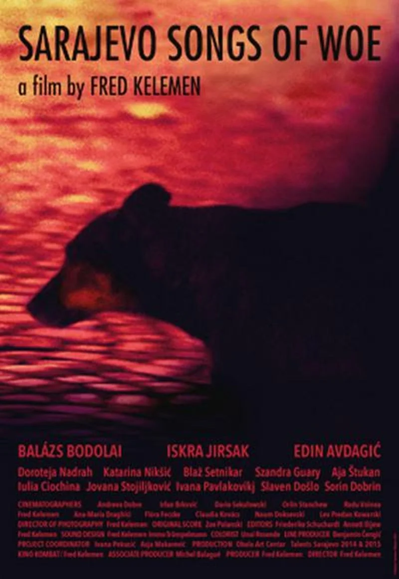 Affiche de Sarajevo Songs of Woe