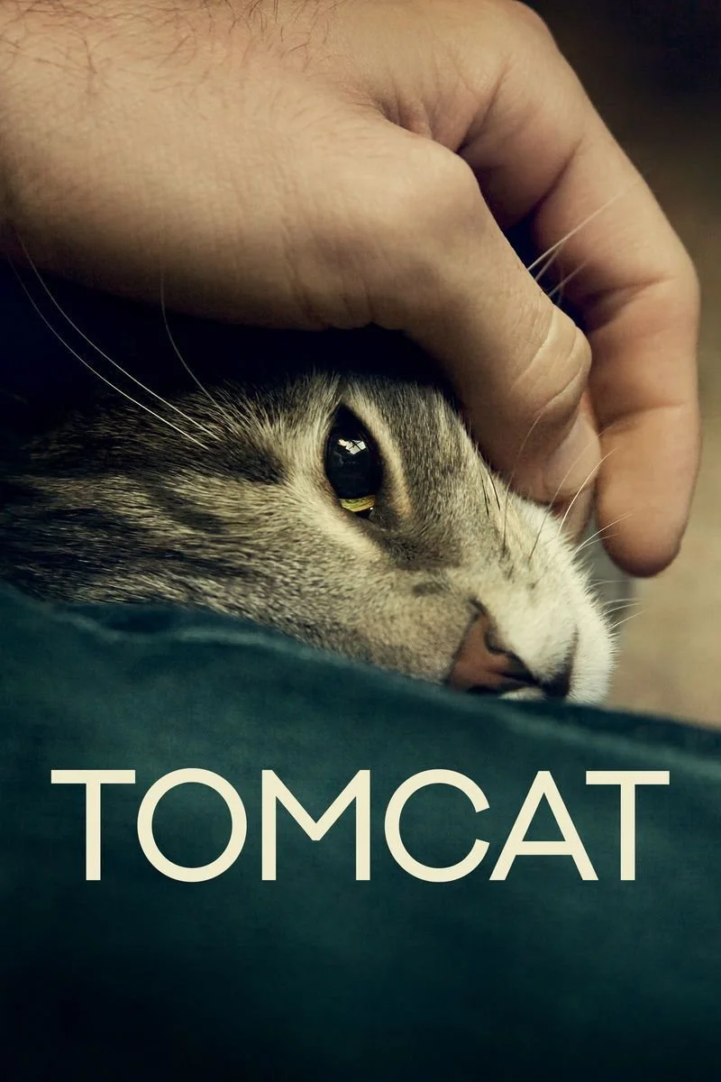 Poster van Tomcat