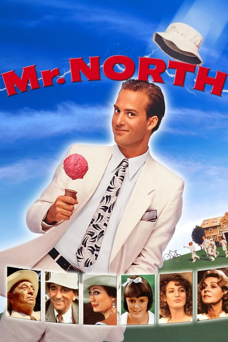 Poster van Mr. North