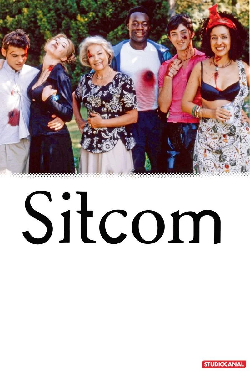 Poster van Sitcom