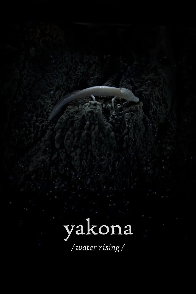Poster van Yakona
