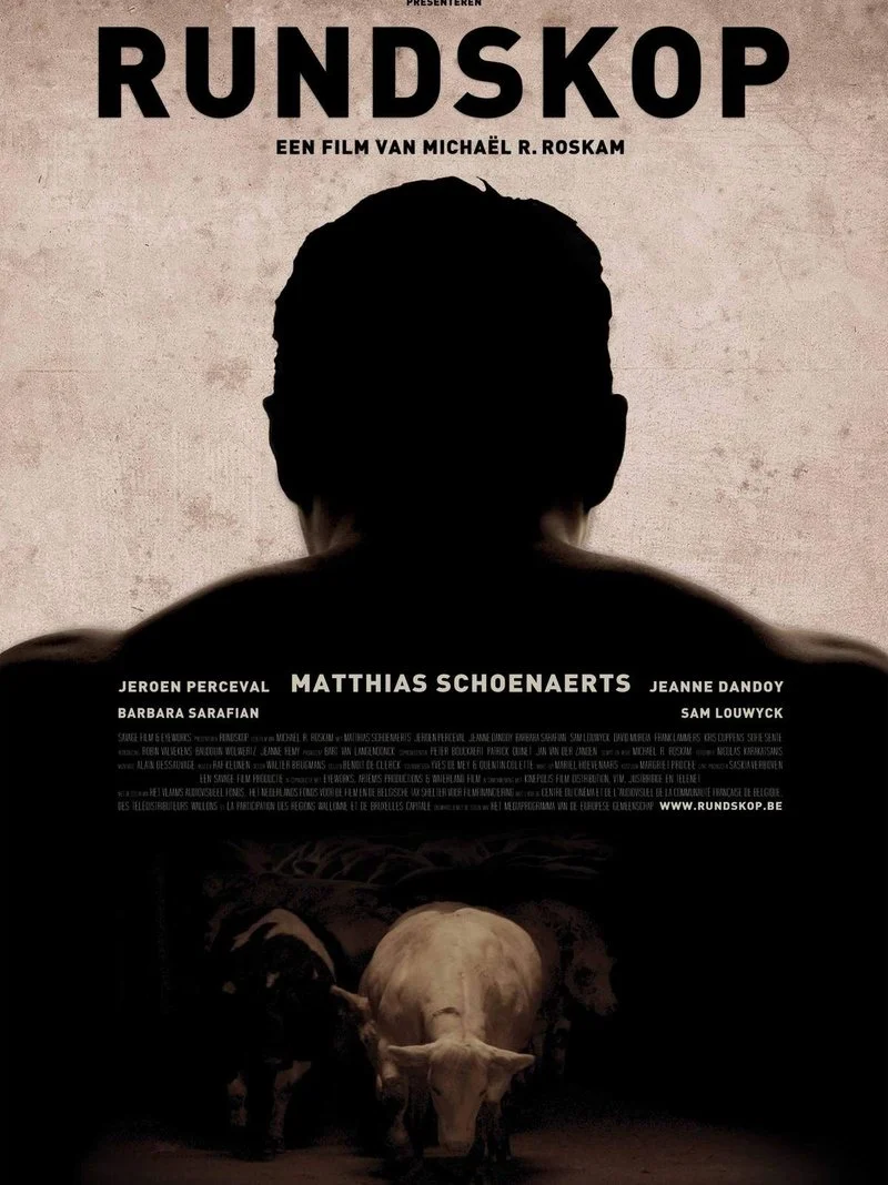 Affiche de Tête de Boeuf