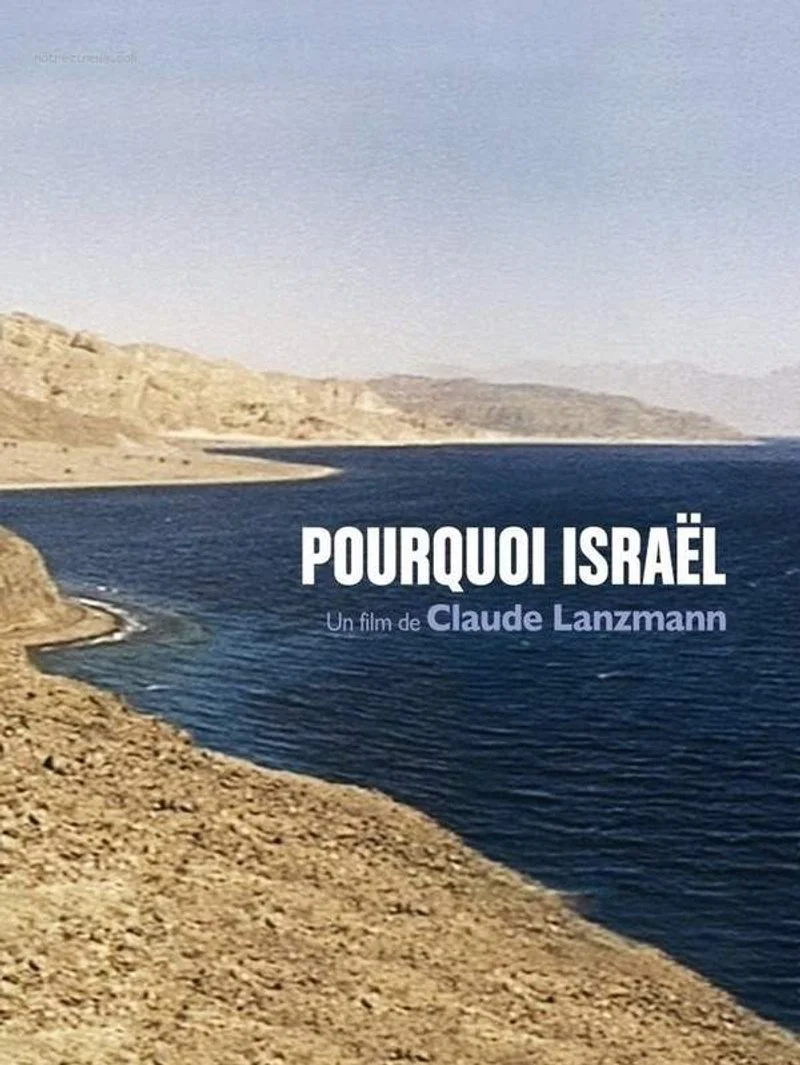Poster van Pourquoi Israel