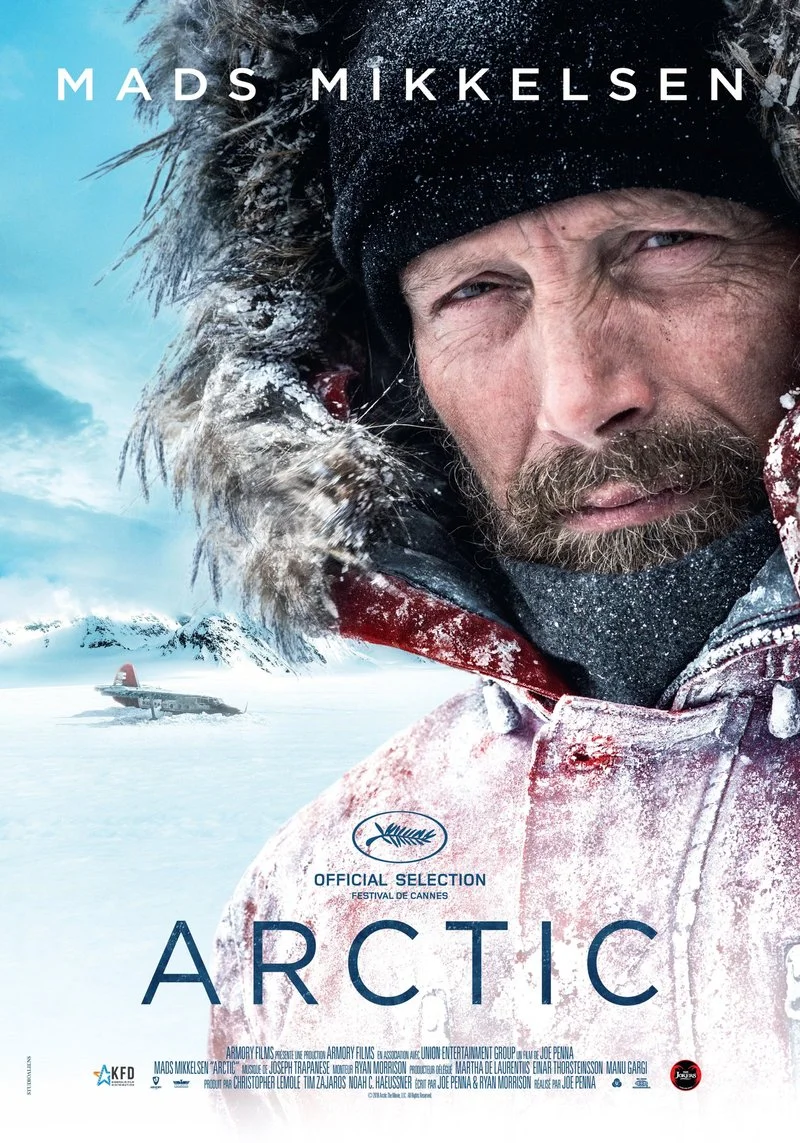 Poster van Arctic