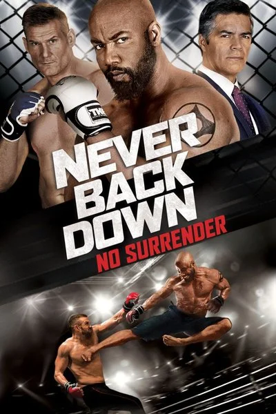 Affiche Never Back Down 3
