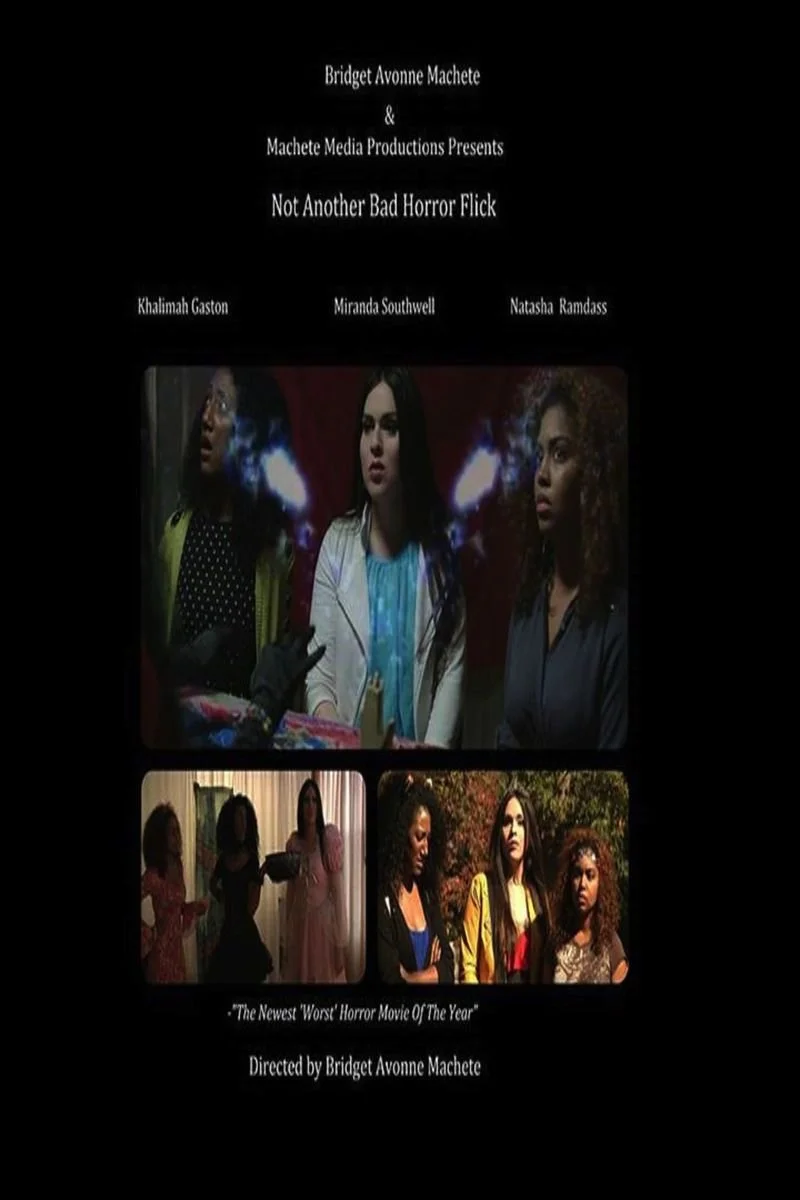 Affiche de Not Another Bad Horror Flick