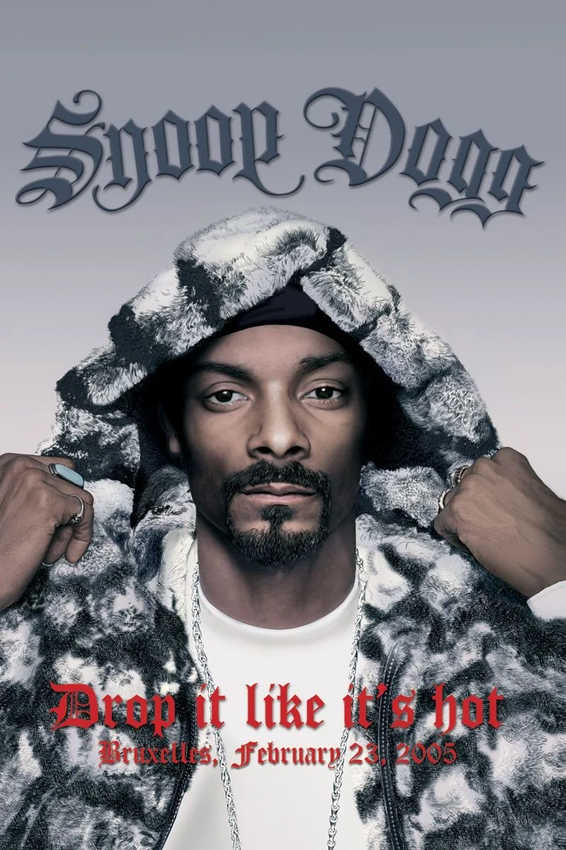 Poster van Snoop Dogg - Drop It Like It's Hot