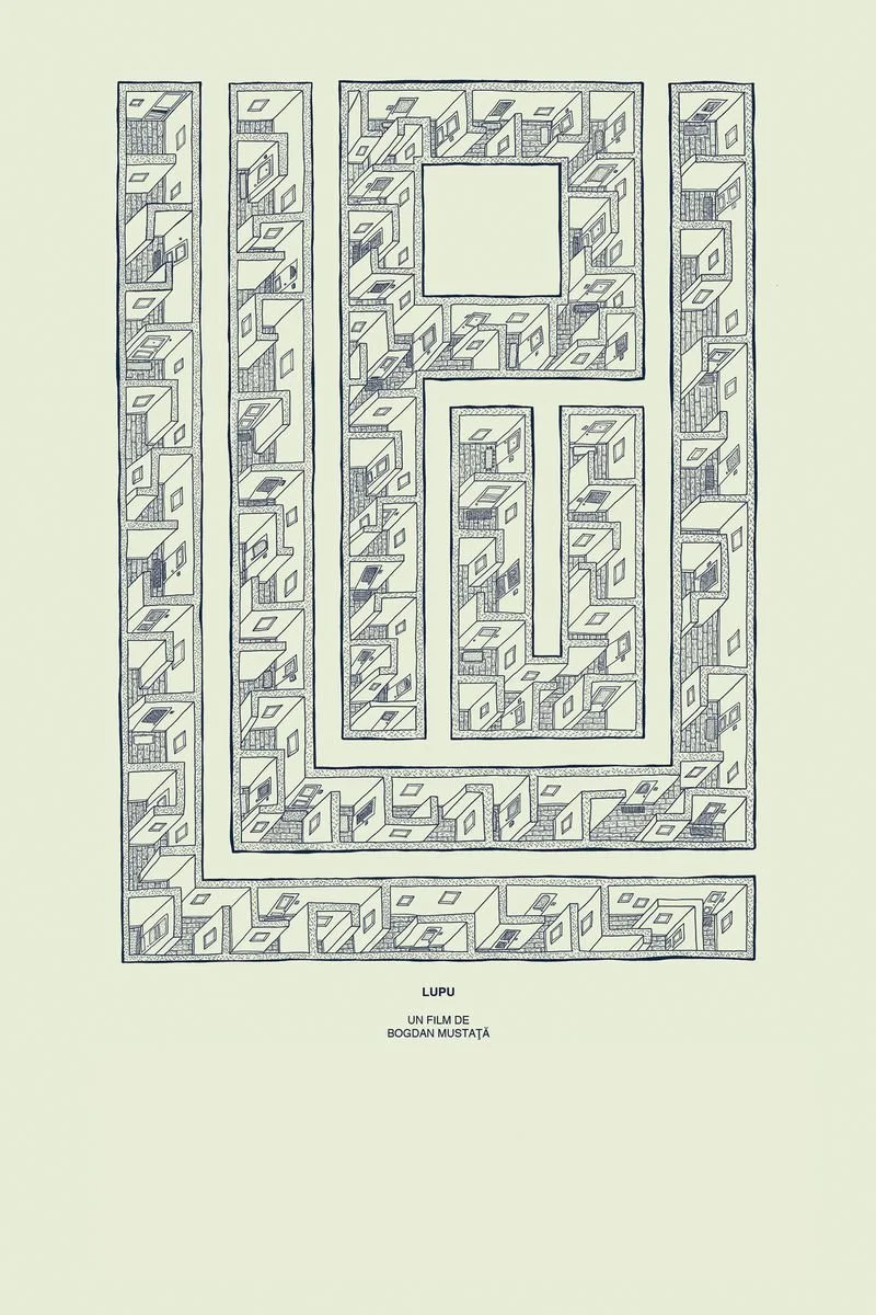 Affiche de Lupu