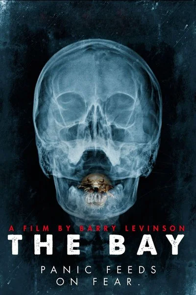 Poster The Bay