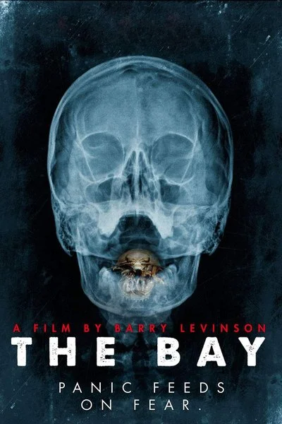 Affiche The Bay