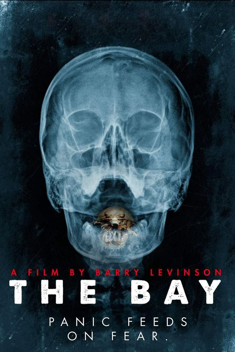 Affiche de The Bay