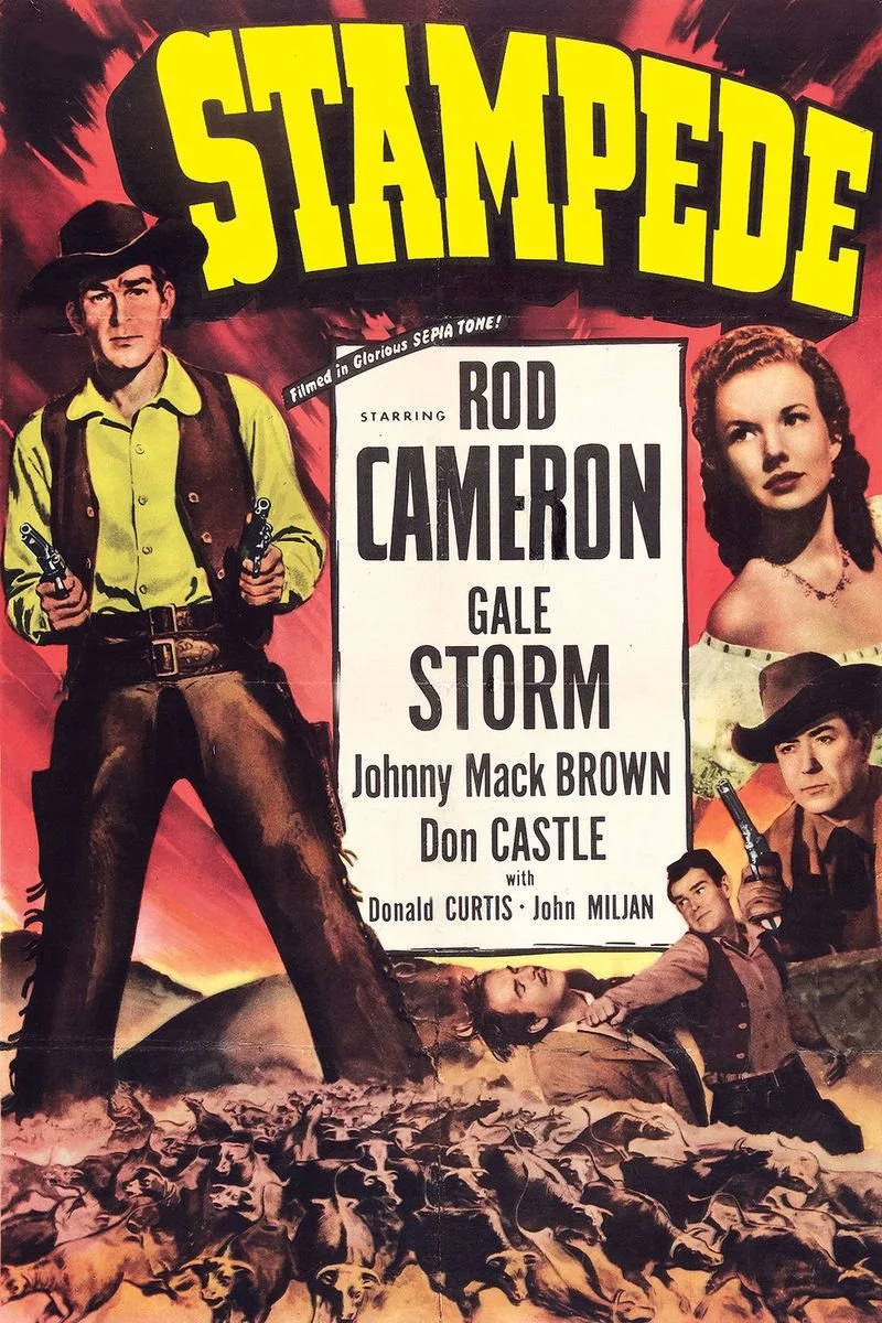 Affiche de Stampede