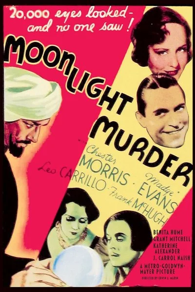 Affiche Moonlight Murder
