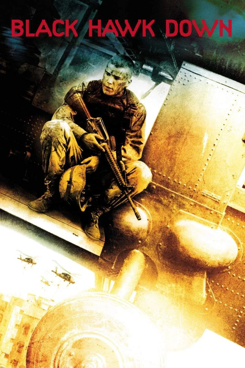Affiche de La Chute Du Faucon Noir