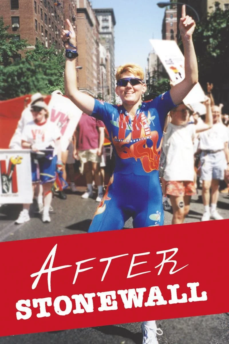 Poster van After Stonewall