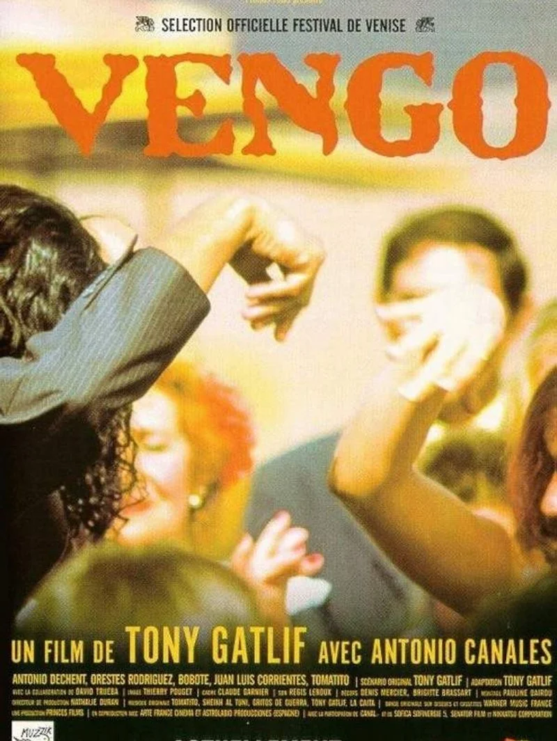 Poster van Vengo