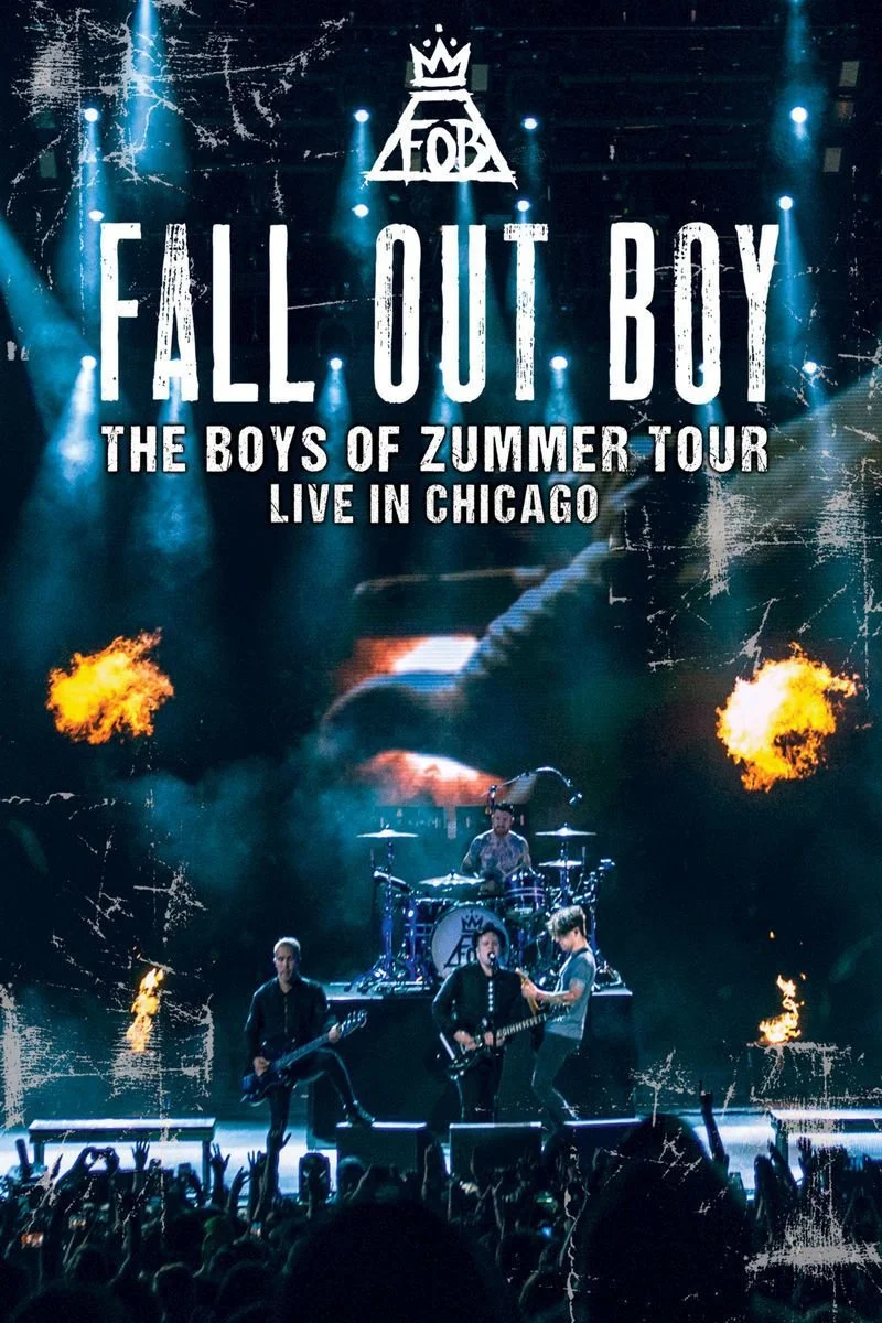 Affiche de Boys of Zummer: Live In Chicago