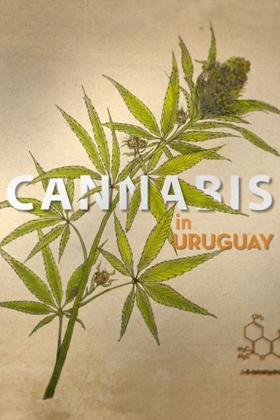 Affiche Cannabis in Uruguay